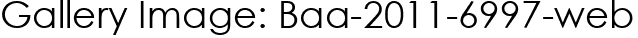 Gallery Image: Baa-2011-6997-web