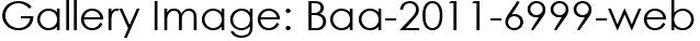 Gallery Image: Baa-2011-6999-web