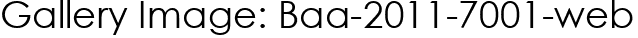 Gallery Image: Baa-2011-7001-web