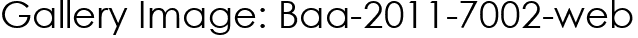 Gallery Image: Baa-2011-7002-web