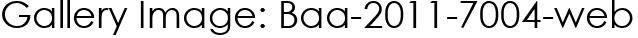 Gallery Image: Baa-2011-7004-web