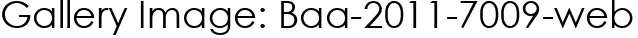 Gallery Image: Baa-2011-7009-web