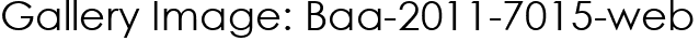 Gallery Image: Baa-2011-7015-web