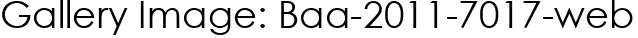 Gallery Image: Baa-2011-7017-web