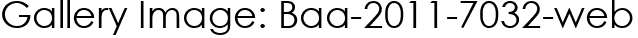 Gallery Image: Baa-2011-7032-web