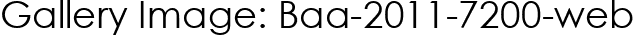 Gallery Image: Baa-2011-7200-web