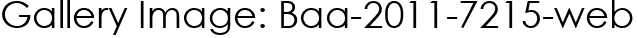Gallery Image: Baa-2011-7215-web