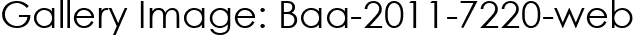 Gallery Image: Baa-2011-7220-web