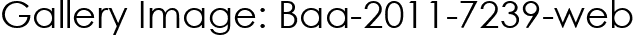 Gallery Image: Baa-2011-7239-web