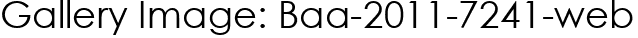 Gallery Image: Baa-2011-7241-web