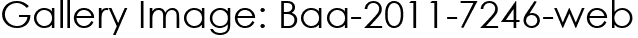 Gallery Image: Baa-2011-7246-web