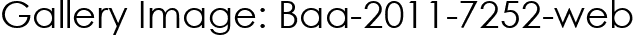 Gallery Image: Baa-2011-7252-web