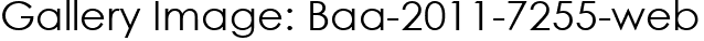 Gallery Image: Baa-2011-7255-web