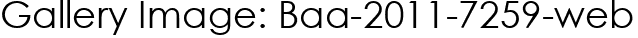 Gallery Image: Baa-2011-7259-web