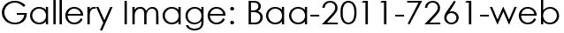 Gallery Image: Baa-2011-7261-web
