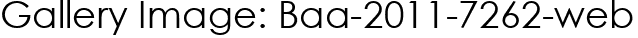 Gallery Image: Baa-2011-7262-web