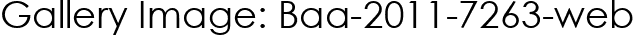 Gallery Image: Baa-2011-7263-web