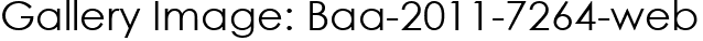 Gallery Image: Baa-2011-7264-web