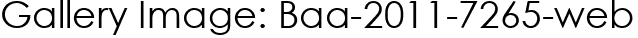 Gallery Image: Baa-2011-7265-web