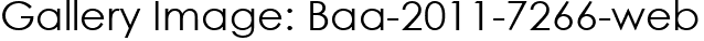 Gallery Image: Baa-2011-7266-web