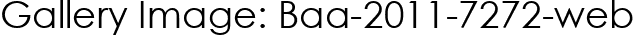 Gallery Image: Baa-2011-7272-web