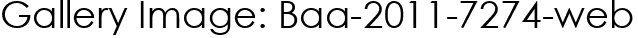 Gallery Image: Baa-2011-7274-web