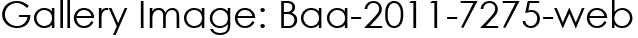 Gallery Image: Baa-2011-7275-web