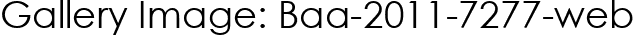 Gallery Image: Baa-2011-7277-web