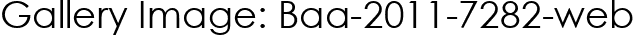 Gallery Image: Baa-2011-7282-web