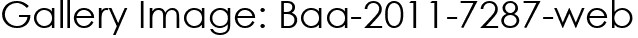 Gallery Image: Baa-2011-7287-web