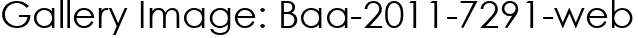 Gallery Image: Baa-2011-7291-web