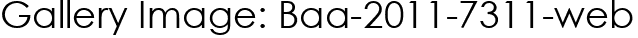 Gallery Image: Baa-2011-7311-web