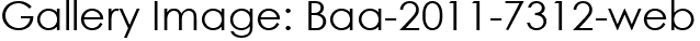 Gallery Image: Baa-2011-7312-web