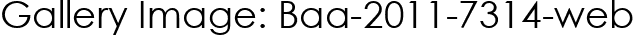 Gallery Image: Baa-2011-7314-web