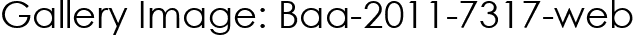 Gallery Image: Baa-2011-7317-web
