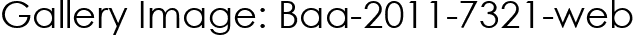 Gallery Image: Baa-2011-7321-web