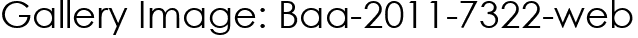 Gallery Image: Baa-2011-7322-web