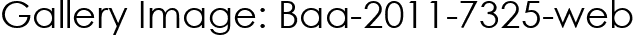 Gallery Image: Baa-2011-7325-web