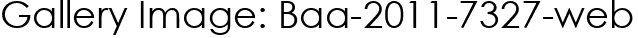 Gallery Image: Baa-2011-7327-web