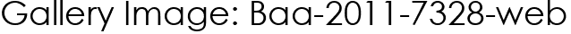 Gallery Image: Baa-2011-7328-web