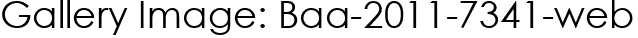 Gallery Image: Baa-2011-7341-web