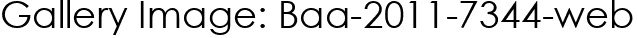 Gallery Image: Baa-2011-7344-web