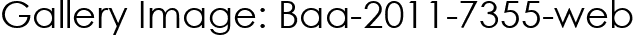 Gallery Image: Baa-2011-7355-web