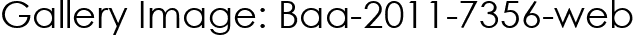 Gallery Image: Baa-2011-7356-web