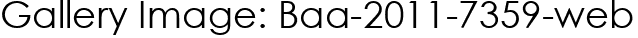 Gallery Image: Baa-2011-7359-web