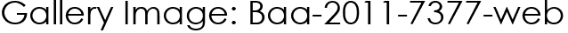 Gallery Image: Baa-2011-7377-web