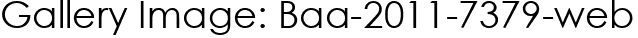 Gallery Image: Baa-2011-7379-web