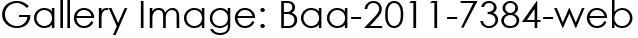 Gallery Image: Baa-2011-7384-web
