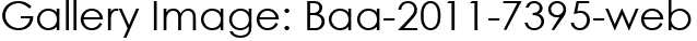 Gallery Image: Baa-2011-7395-web