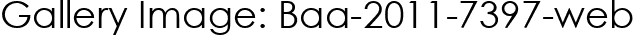 Gallery Image: Baa-2011-7397-web